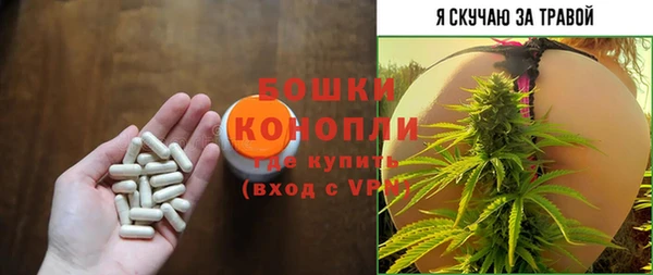 PSILOCYBIN Заволжье