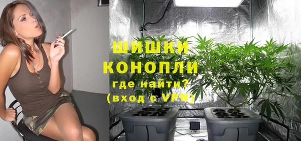 бошки Заводоуковск