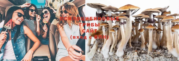 бошки Заводоуковск