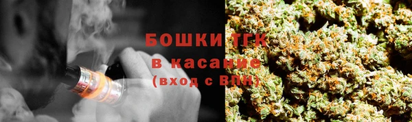 PSILOCYBIN Заволжье